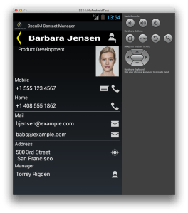 OpenDJ Contact Manager displaying a Contact