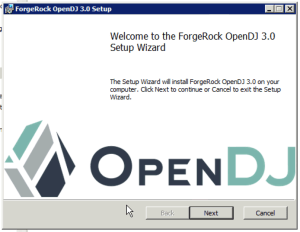 OpenDJ MSI Installer